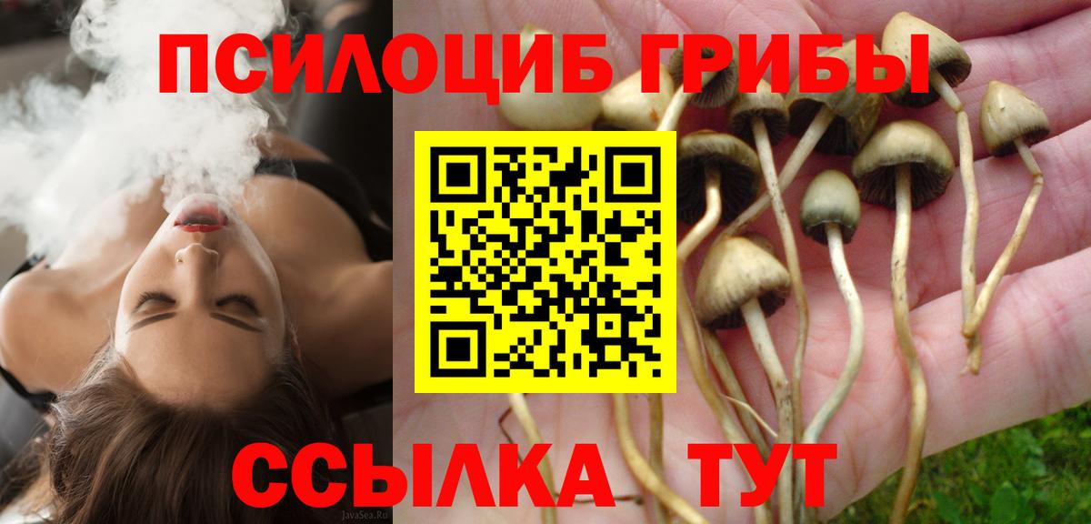 Псилоцибиновые грибы GOLDEN TEACHER  Вход с VPN  Воркута 